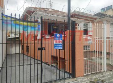 3d61edb6b88b8994fd1cb81ae4e09b39.jpg · Terreno