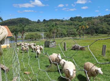 Rural de 6 quartos, Fazenda Rio Grande · Chácara / Sitio  com 78.650 m² (3 Alqueire) 03 Casas - Fazenda Rio Grande/PR