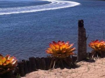 Terreno , Tamandaré · Tamandaré - Área com 4hc a Beira-rio na Praia dos Carneiros