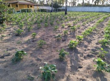 e1813a55c510b124c333ec0874da536db9ff9383 · Terreno à venda, 2716 m² - Bairro Novo - São José de Mipibu/RN -