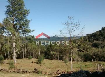 Terreno en Venda de 4 quartos · Lote em Estrada da Ferradura - Caracol - Canela/RS