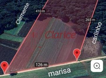 Foto 02 · Área rural em São José dos Pinhais, área para plantação de verduras, área rural a venda, área rural 