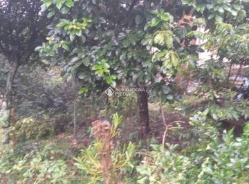 393673_it55sA5rL41Wp_3936736386458ed9782.jpg · Terreno no bairro Floresta