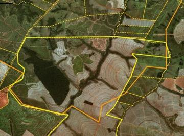 Foto 01 · Fazenda 1231 Alqueires, 800 Alqueires em Cana, 100 Alqueires em Pasto, Ótima Topografia, Terra Verme
