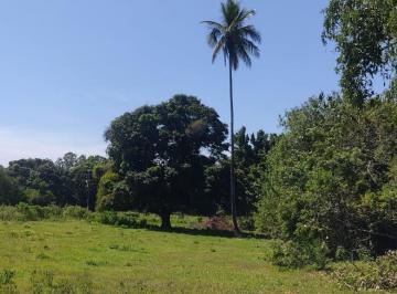Foto 01 · Sitio, Palmital, Saquarema, RJ