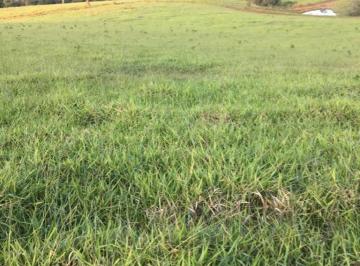 3d89d6e6b0c39380f025f10abfcacc4cc0b46983 · Fazenda à venda, 1089000 m² por R$ 10.000.000,00 - Fazenda Velha - Estiva/MG