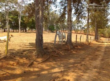 61ab259d9d7d1878b25121a962d5ee9cfaa3523e · Fazenda à venda, 1282600 m² por R$ 8.000.000,00 - Sao Joao Da Mata - São João da Mata/MG