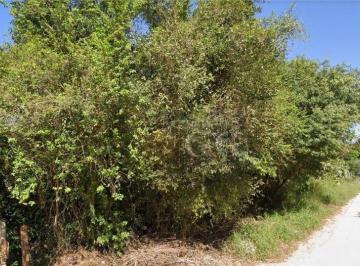 0a0777798414fd69eef920a605eeec8293958d64 · Terreno à venda, 468 m² por R$ 86.000,00 - Tarumã - Viamão/RS
