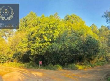 cf01928011cacaf3ae7ef2f1d58d1e73ca82f156 · Terreno residencial à venda, Tarumã, Viamão.