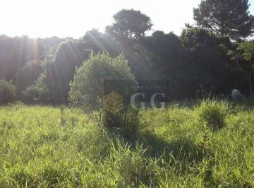 d5eb3e6dad052592417c1af833f62af9e16eb4a8 · Terrenos a 25mil em Itapuã