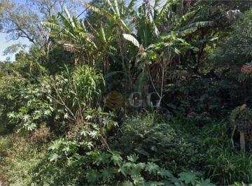 fdb683c0f3db57ac0d60bd0351a7d76d48ef5b51 · Terreno à venda, 936 m² por R$ 168.000,00 - Tarumã - Viamão/RS