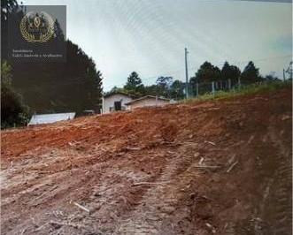 300bb1ddecc12d921d2a67bbab8562fecba204fb · Terreno à venda, 3000 m² por R$ 335.000,00 - Tarumã - Viamão/RS