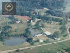 07e0efca969f97d12ca6a8a71268328dbf4bc449 · Sítio com 4 dormitórios à venda, 198 m² por R$ 430.000,00 - Sitio São José - Viamão/RS