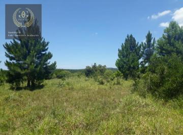 9b7a20d874471f283d85d741fd908ff7219c1566 · Área à venda, 1260000 m² por R$ 4.410.000,00 - Itapuã - Viamão/RS