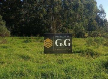 8e9ec6d5ae99f5d70b54ca3fd9a1e5a70c2bad05 · Terreno à venda, 600 m² por R$ 41.000,00 - Florescente - Viamão/RS