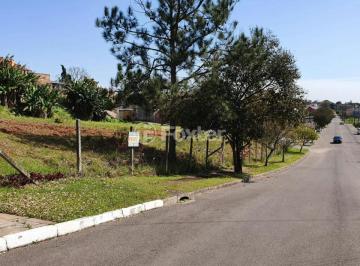 WhatsApp Image 2022-08-29 at 11.30.40.jpeg · Terreno, 328.764 m², em Rubem Berta