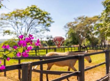 e3ca64792435e43c3e9202a19c5fb21683363c96 · Vendo Haras próximo a São Paulo