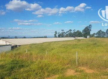 32937f63a3d16b21490338f8a6a7d30d17199b09 · Sítio à venda, 60000 m² - Bairro dos Rosas - Amparo/SP