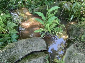 Rural de 1 quarto, Biritiba-Mirim · LINDA CHÁCARA COM MUITA AGUA EM BIRITIBA MIRIM 8 KM DO CENTRO DA CIDADE 