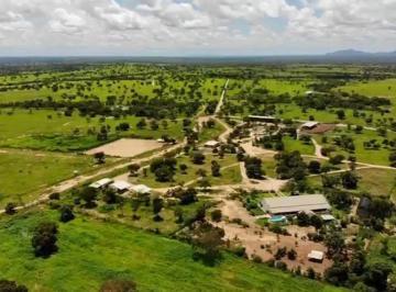 Rural de 20 quartos, Arraias · FAZENDA EM ARRAIAS - TOCANTINS| 9.700 HÁ, DUPLA APTIDÃO, PLANA, PLANTANDO SOJA AS MARGENS DA TO-05