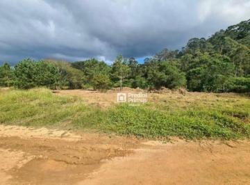 c0005ab511b86876db6b4be4d7a105e5f737c255 · Terreno à venda, 620 m² por R$ 250.000,00 - Nova Suíça - Nova Friburgo/RJ