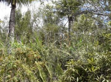 Terreno · Terreno com 2 hectares localizado nas imediações do povoado do retiro em Ilhéus