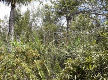 Terreno · Terreno com 2 hectares localizado nas imediações do povoado do retiro em Ilhéus