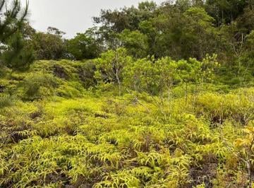 Terreno · 3080m² · Terreno em Centro - Santo Amaro da Imperatriz