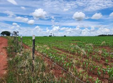 Rural · 20000m² · Sítio de 20.000 m² em Artur Nogueira - SP