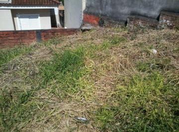 Terreno · 304m² · Terreno à venda - no Parque Peruche