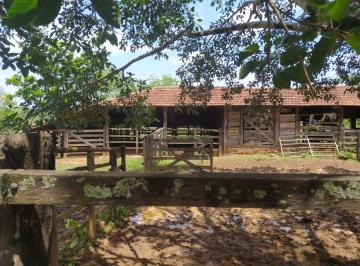 Foto 01 · Fazenda, Fazenda de 359 Hectares, Abaeté, MG
