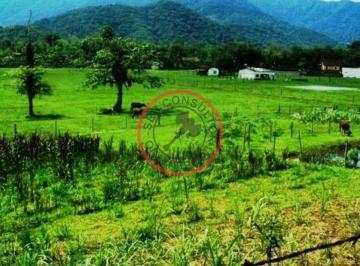 Imagem do Imóvel · FAZENDA COM  55 MIL METROS DE AREA UTIL  EM SAO SEBASTIAO