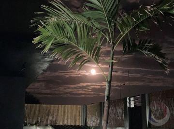 Capa · Casa Residencial de 4 dorms no bairro Rio Tavares