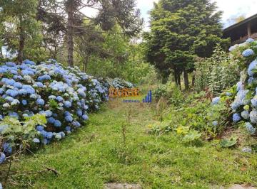 axsece2ntnkmgmzmzflmzyy_md · Sitio Terreno urbano residencial e comercial - Centro, Rancho Queimado - 30000m²