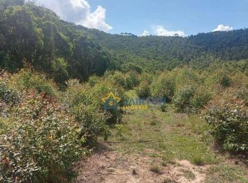 15f07bfa97dbff576a3be0b76ae96760e3f224cd · Sítio à Venda com 31.000 m² no Moinho, Nazaré Paulista