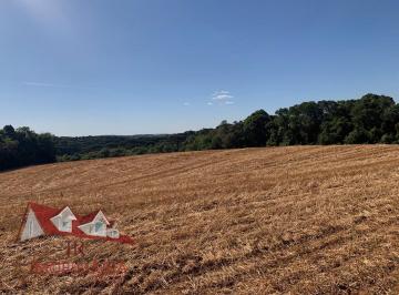 Rural , Araucária · Chácara a Venda sem benfeitorias
