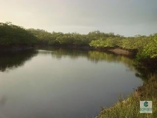 01 · FAZENDA EM ITARIRI