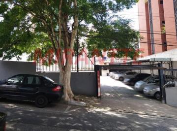 284bcf9da02cd32c6e5c007560dc7d9a.jpg · Terreno