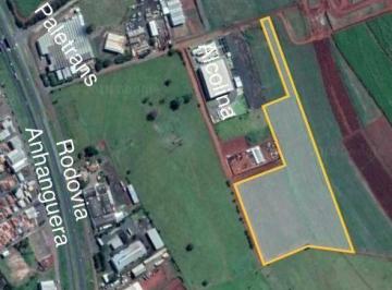 3172a3b1a844d8aca3780e3e5f0052ae2c821de1 · Área à venda, 68000 m² por R$ 27.200.000,00 - Distrito Industrial - Cravinhos/SP