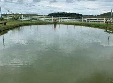 Rural · 120ha · 4 Quartos · Fazenda 120 hectares em Padre Brito - Barbacena. Porteira Fechada. Formada em pasto, com cachoeiras 