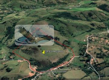 Rural · 39ha · 3 Quartos · 5 Vagas · Fazenda Pecuária para Venda em Centro Cambuí-MG