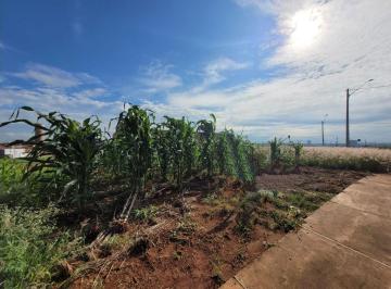 71f0b366b195748f3c23f514bc9477a500812837 · Terreno à venda, 280 m² por R$ 290.000,00 - Reserva Centenária - Santa Bárbara D'Oeste/SP