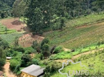 Foto 19 · FAZENDA COM 30 ALQUEIRES EM SILVEIRAS /SP COM CERTIFICAÇÃO ORGÂNICA ECOCERT NA PRODUÇÃO DE ÓLEOS ES