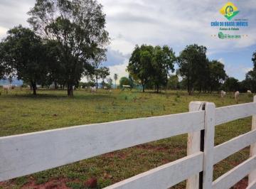 Foto 01 · Sítio 10 ha ótimo solo, no Taboco - Corguinho, MS, Brasil
