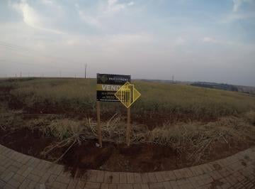 Terreno · 384m² · Lote à venda, RESIDENCIAL FENIX - Marechal Cândido Rondon/PR