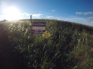 Terreno · 352m² · Lote à venda, RESIDENCIAL FENIX - Marechal Cândido Rondon/PR