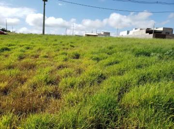 Terreno · 250m² · Lote a venda em Santa Tereza do Oeste