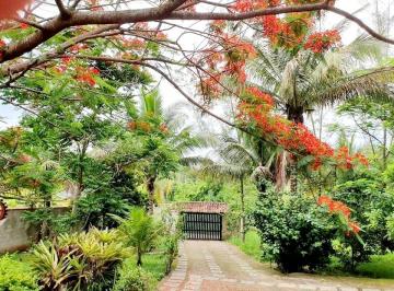 Foto 06 · Sitio, Palmital(bacaxá), Saquarema, RJ