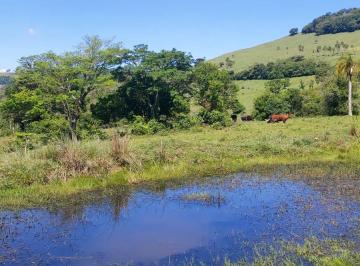 Rural , Igrejinha · Sitio 10 Hectares em Lajeadinho na Cidade de Igrejinha/RS as Margens da RS-020
