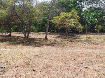Foto-0 · Foz de Imbassai, Fazenda Água Boa, Mata de São João, área de 3.427,02m2. Praia mais próxima praia d